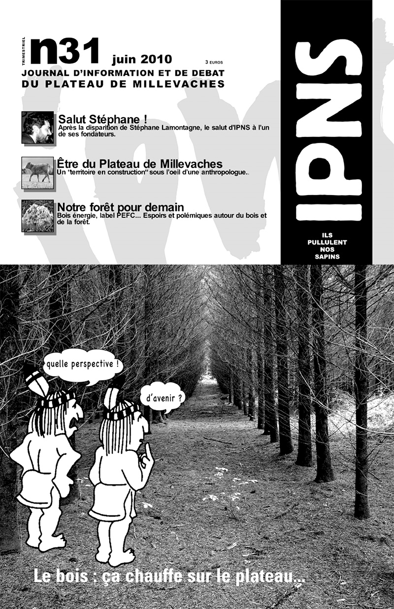 journal ipns couverture 31