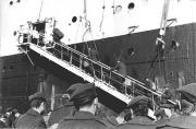 guerre-algerie-04
