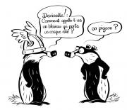 blaireau-pigeon