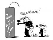 blaireautag
