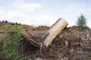 bernard-birsingerclaude-garelplateau-de-millevaches-reveille-toi-06