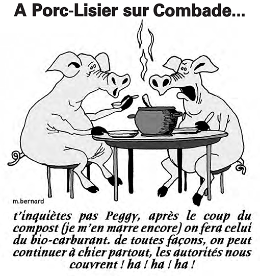 porc lisier