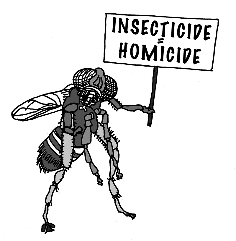 insecticide