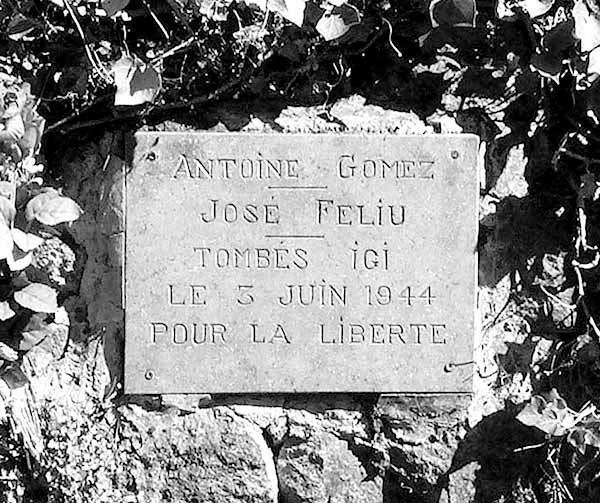 plaque gomez feliu