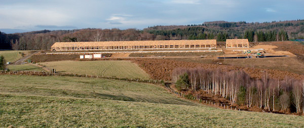 ferme usine 1000 veaux saint martial le vieux