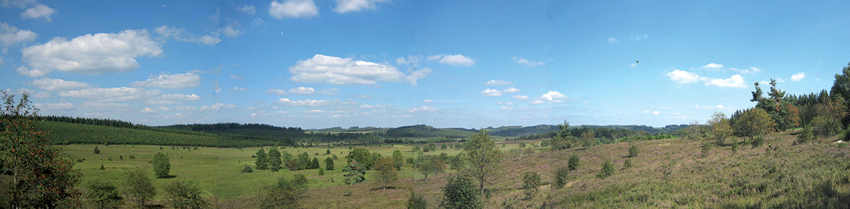 tourbiere du longeroux