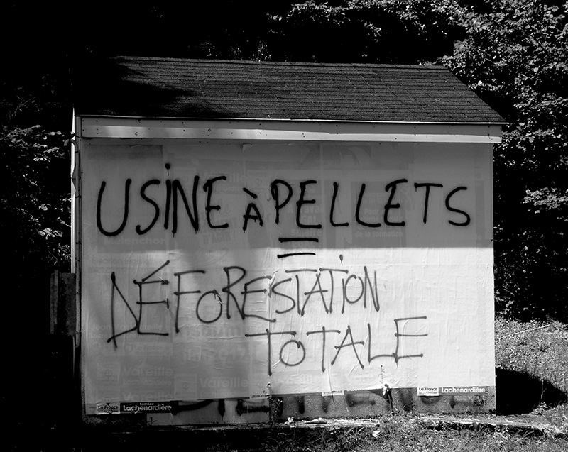 usine pellets deforestation