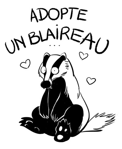 blaireau adopte