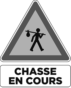 Chasse FLASH