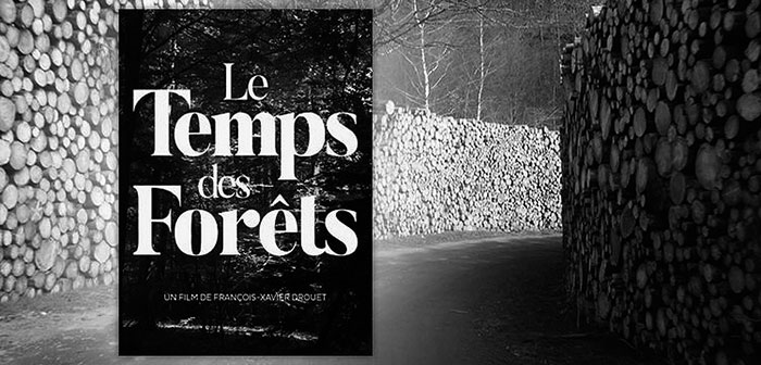 film le temps des foret