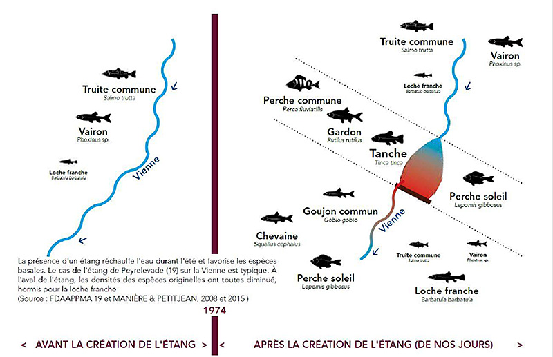 effet etang peyrelevade