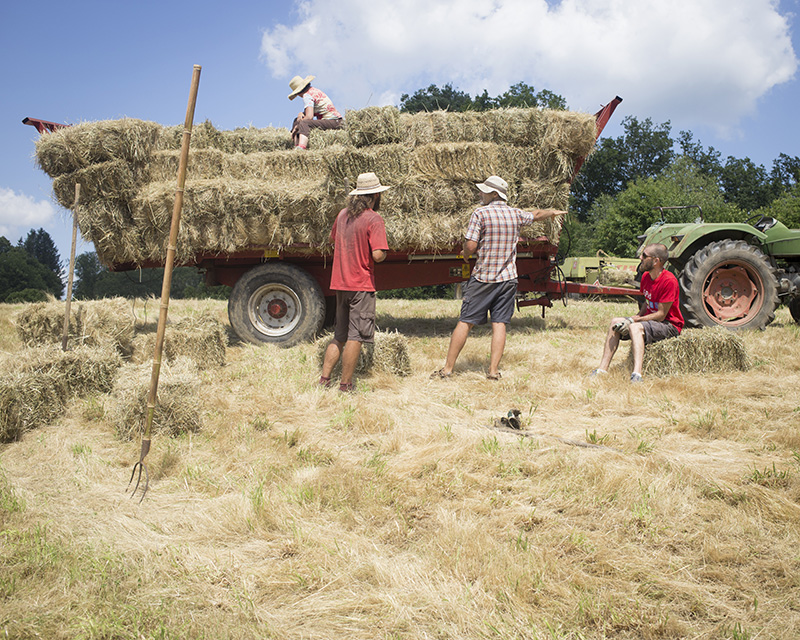 association les tisserands foin