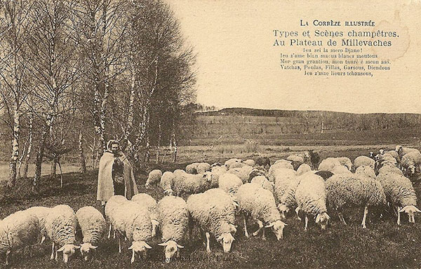 carte postale correze