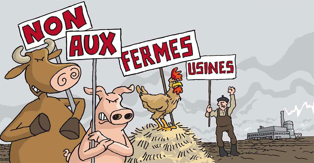 Gros temps sur les fermes usines