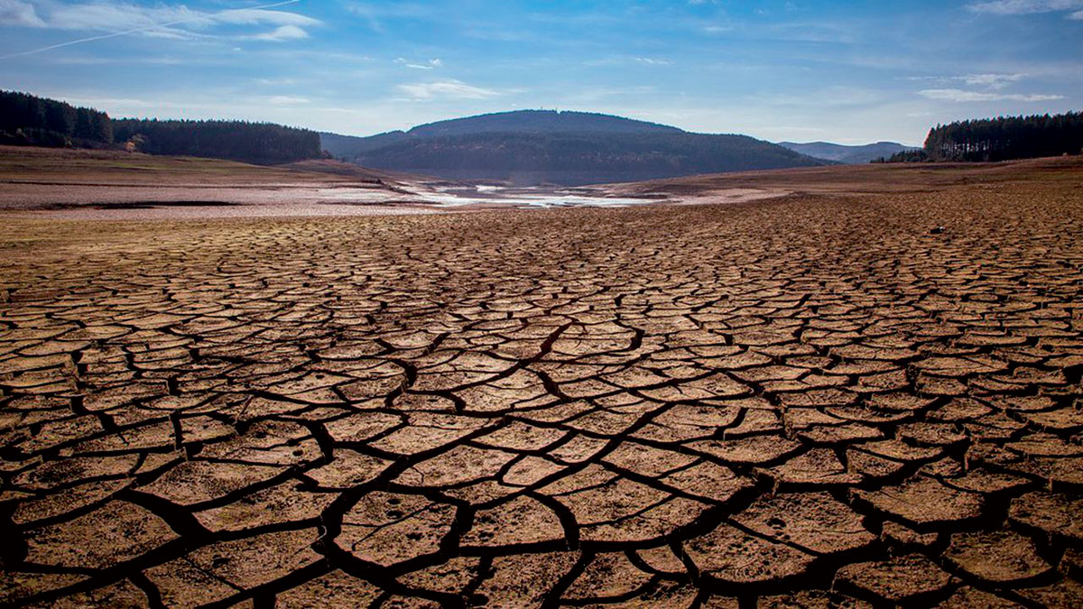 rechauffement climatique