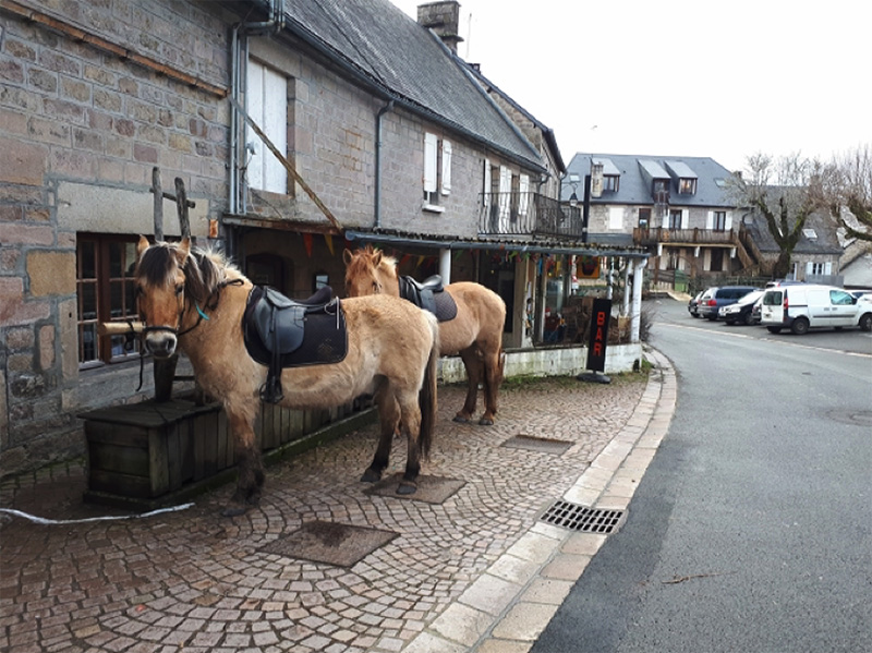 chevaux tarnac