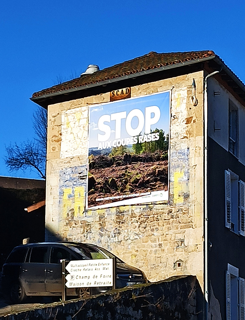 stop aux coupes rases affiche