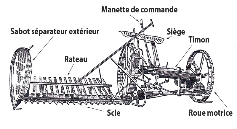 faucheuse sarrasin