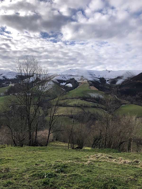 Mobilisation contre un projet de méga-scierie dans les Pyrénées, Pays  Basque