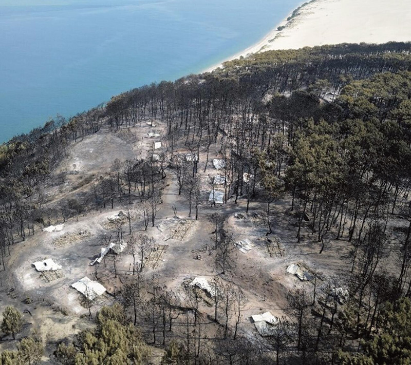 La forêt usagère,  les communs et la nécessité de préfigurer le monde de demain