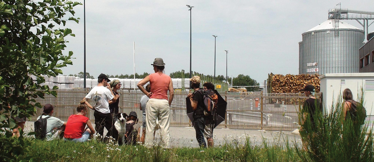 Ègletons, des espèces protégées sur le site d'agrandissement de la méga-scierie Piveteau Bois