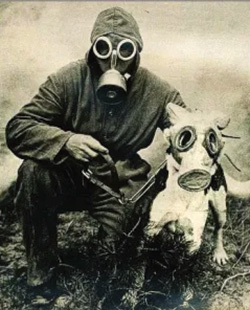 mask