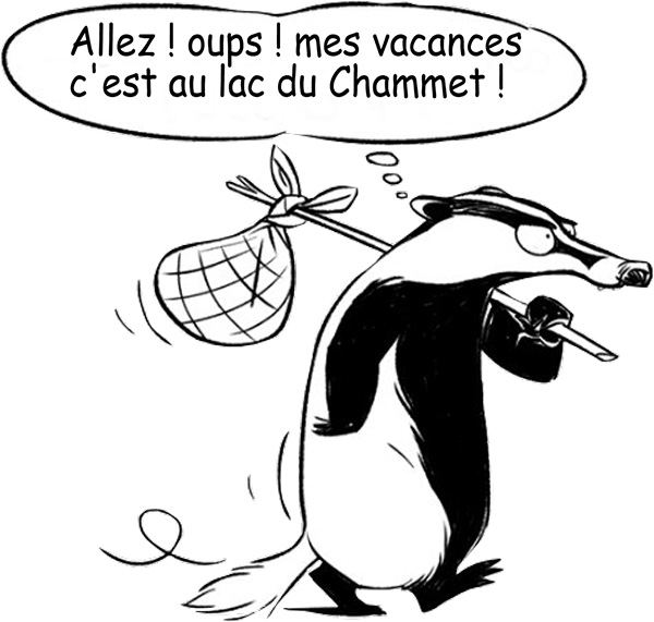 blaireau le chammet