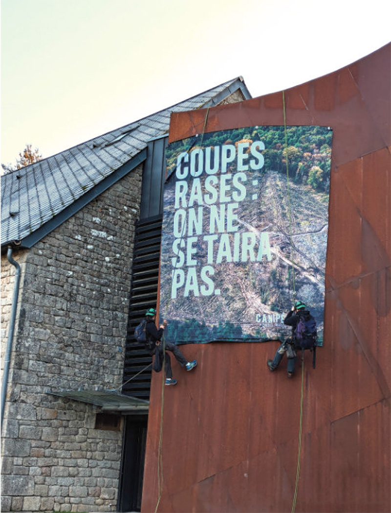 coupes rases