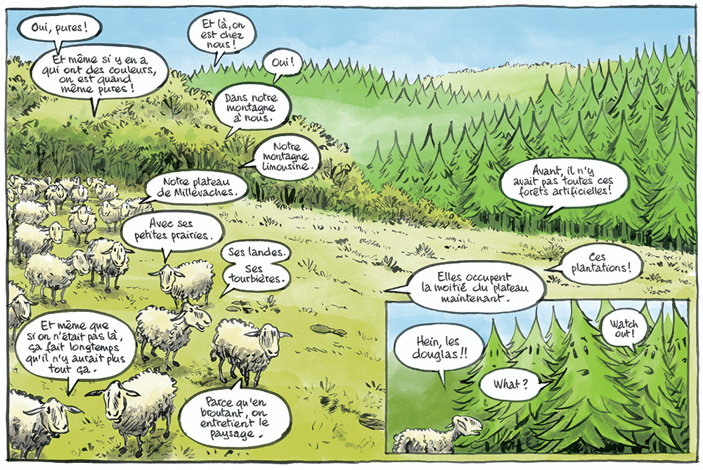 Au loup ! Une BD pour amorcer le dialogue
