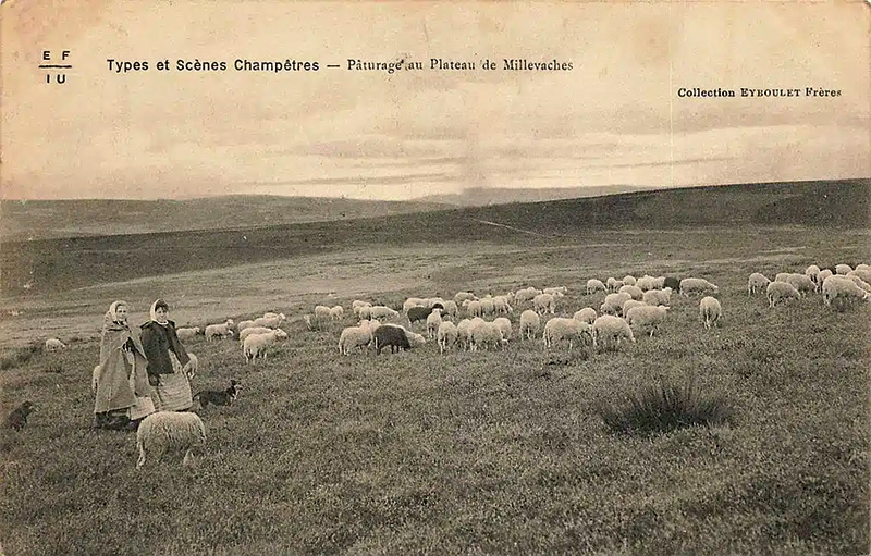 Plateau du Millevaches debut XXe siecle