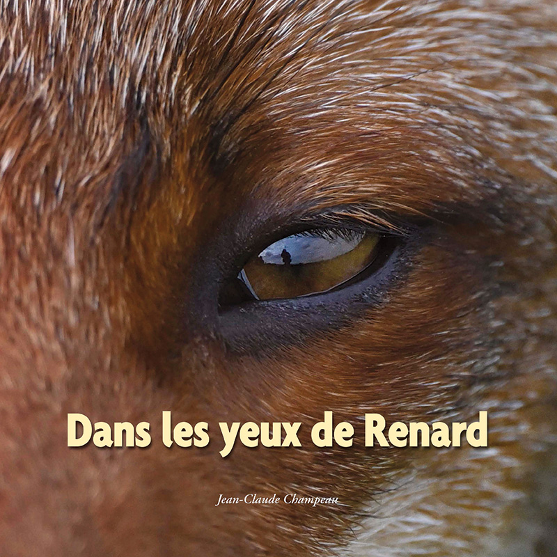 Renard Livre JC Champeau