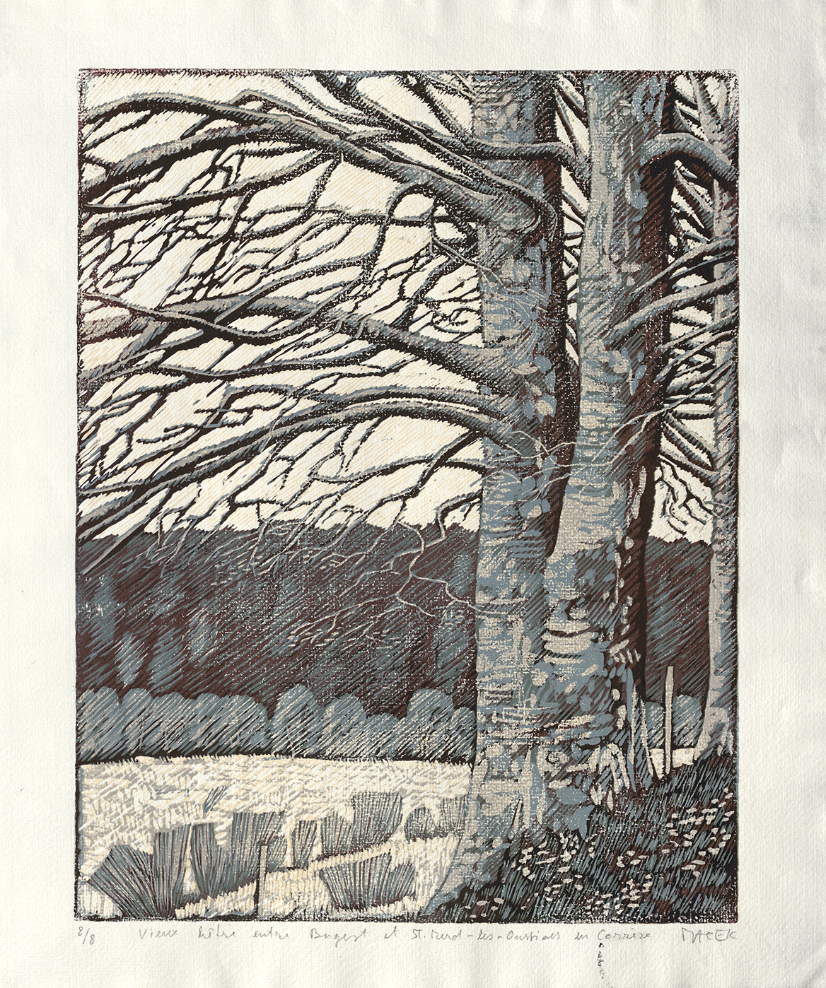 Pavel Macek estampe 02