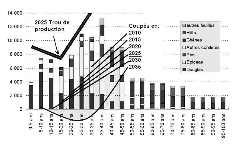 stats foret2